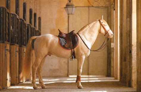 hermes horse saddle designs.